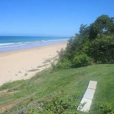 Vivir En La Playa